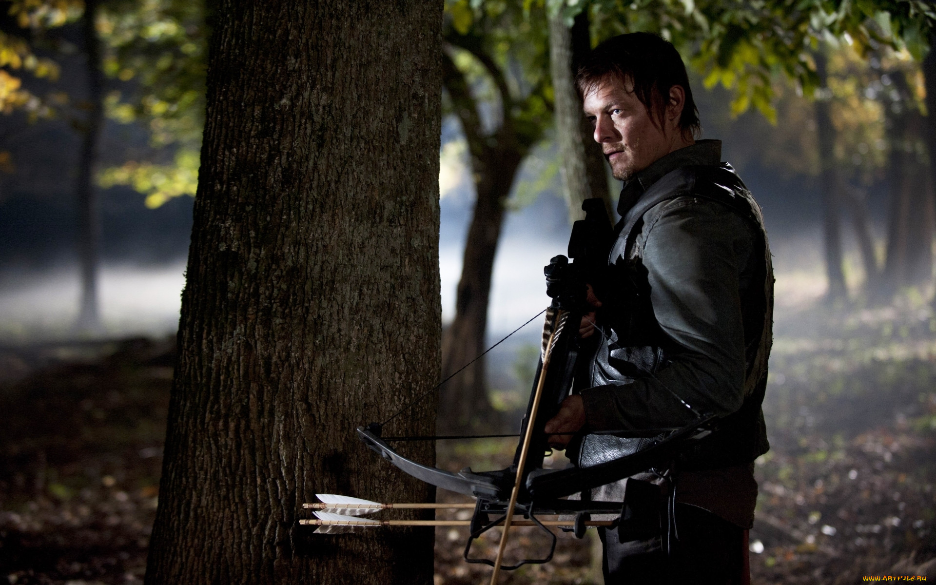  , the walking dead, , , , 
